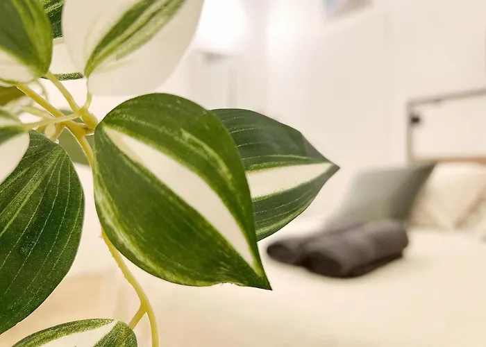 Le Duchesse Διαμέρισμα